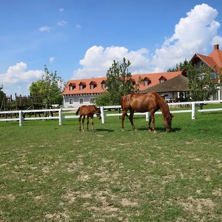 Lobarat Panzio Bed & Breakfast Cserszegtomaj