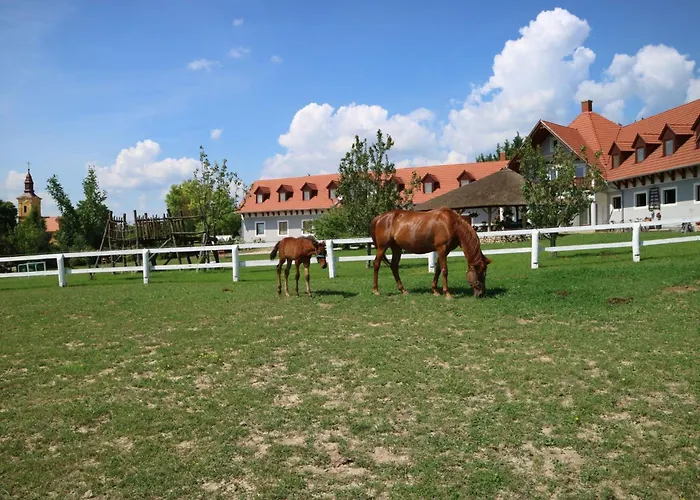 Lobarat Panzio Bed & Breakfast Cserszegtomaj